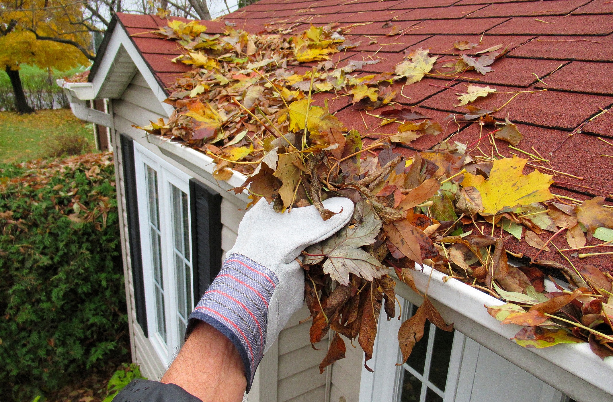 Why Are There So Many Leaves and Debris in the Gutters?