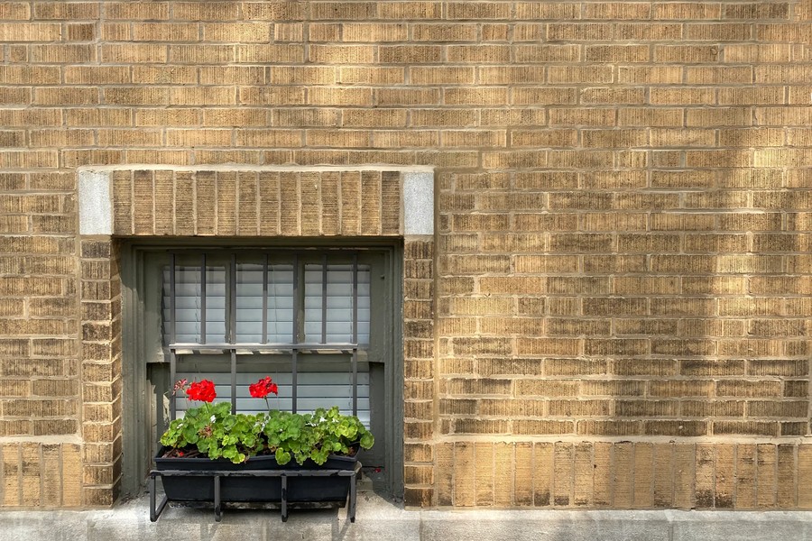 Barred Windows with Wood: A Blend of Security and Style